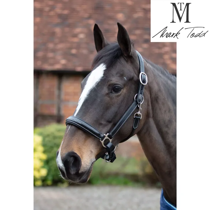 Mark Todd Raised Fancy Stitch Full Leather Head Collar in Black-2